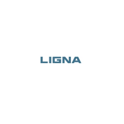 Ligna 2025, Hannover, Germany Exhibition Stand Builder