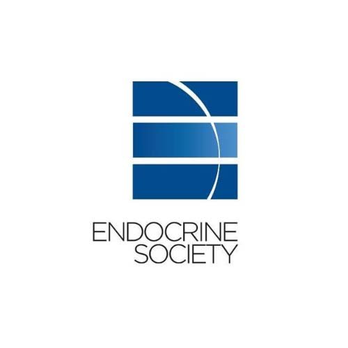 Endo 2026 Chicago, USA Exhibition Stand Builder
