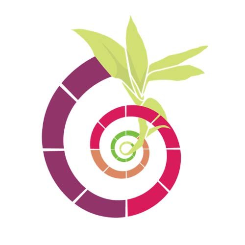 European Bamboo Expo 2026 Dusseldorf, Germany Exhibition Stand Builder